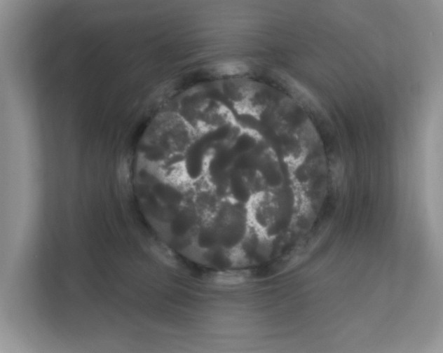 X0000111050373200907231601