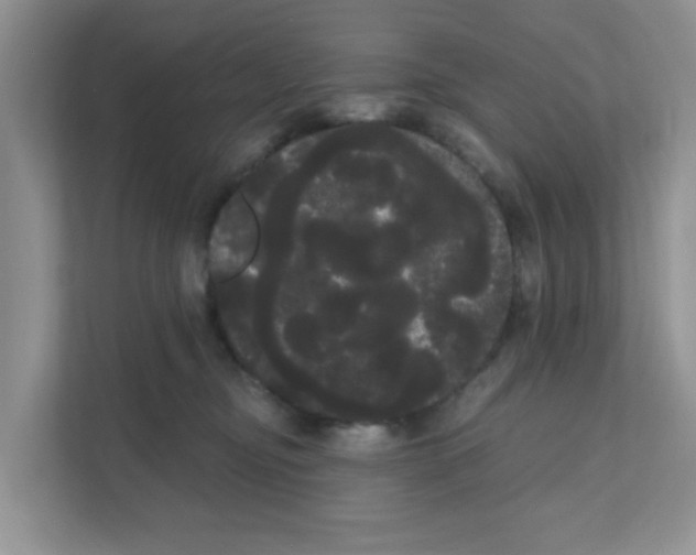 X0000111050374200907231601