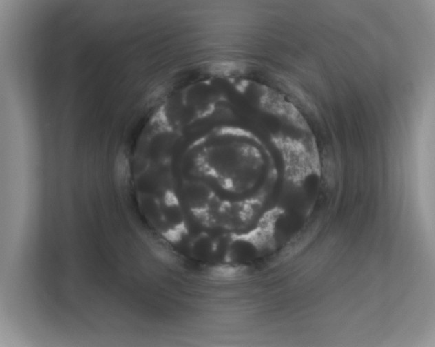 X0000111050375200907231601