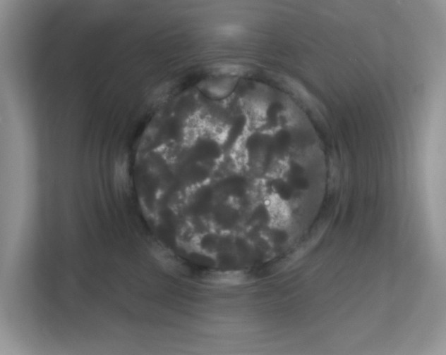 X0000111050377200907231601