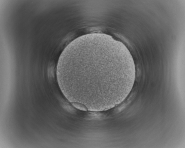 X0000111050379200907231601