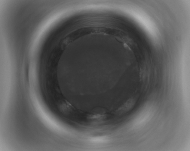 X0000111050383200907231601