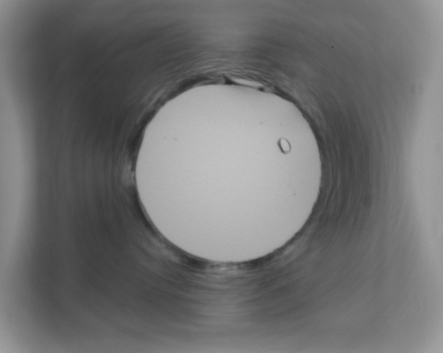 X0000111050384200907231601