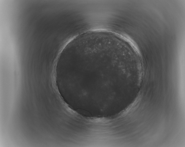 X0000111050385200907231600