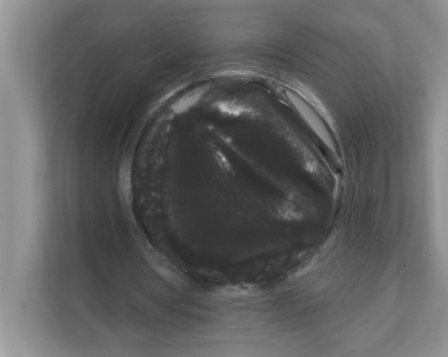 X0000111050386200907231600