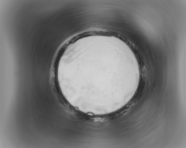 X0000111050388200907231600