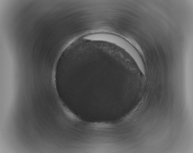 X0000111050389200907231600