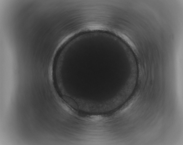 X0000111050391200907231600