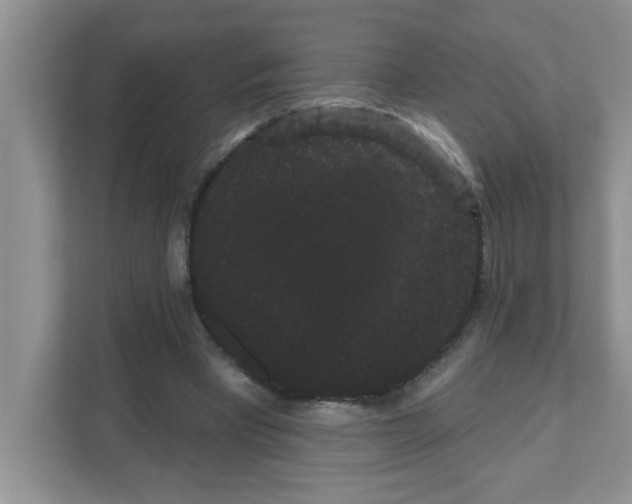 X0000111050393200907231600