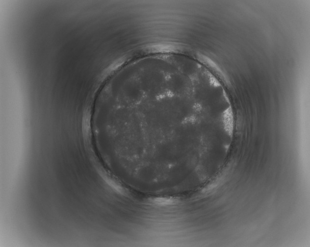 X0000111050394200907231600