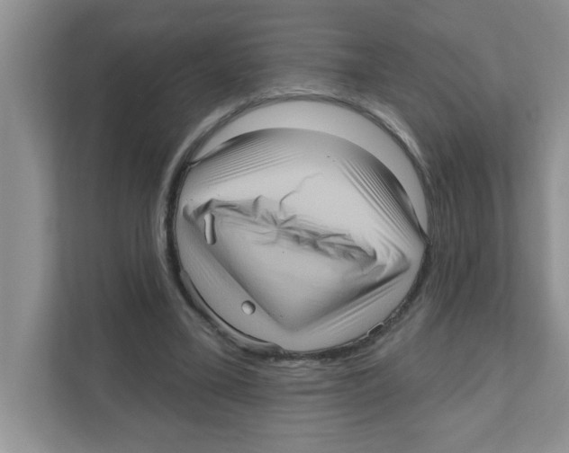 X0000111050395200907231600