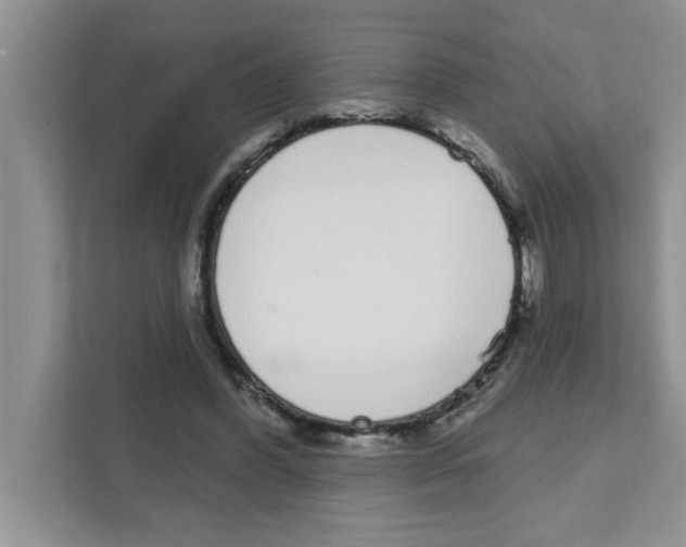 X0000111050396200907231600