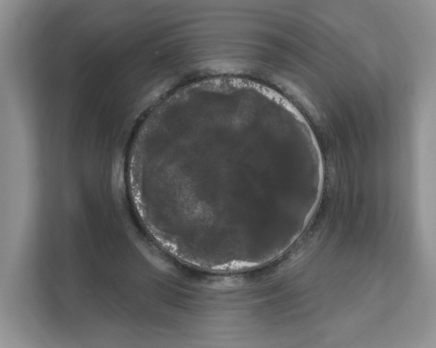 X0000111050398200907231600