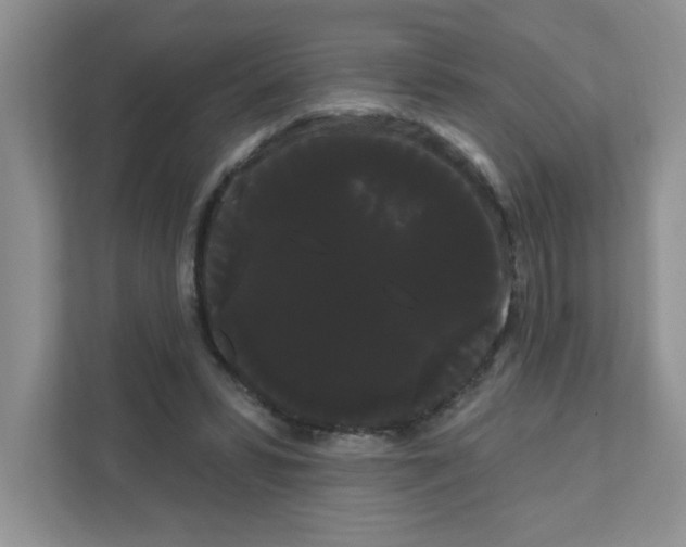 X0000111050399200907231600