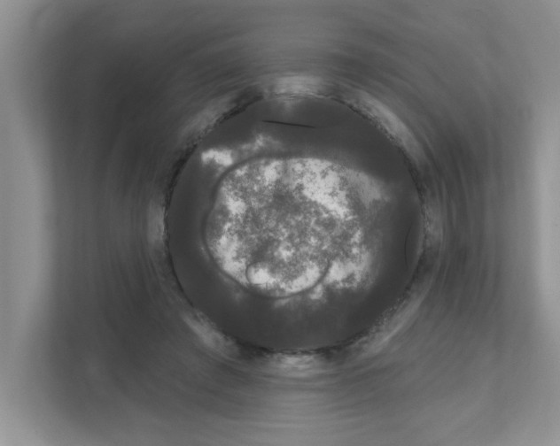 X0000111050401200907231600