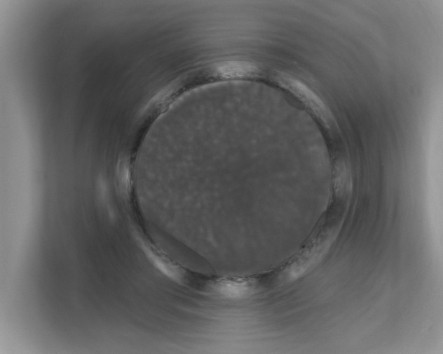 X0000111050405200907231600