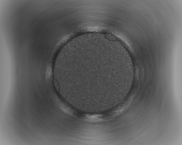 X0000111050407200907231600