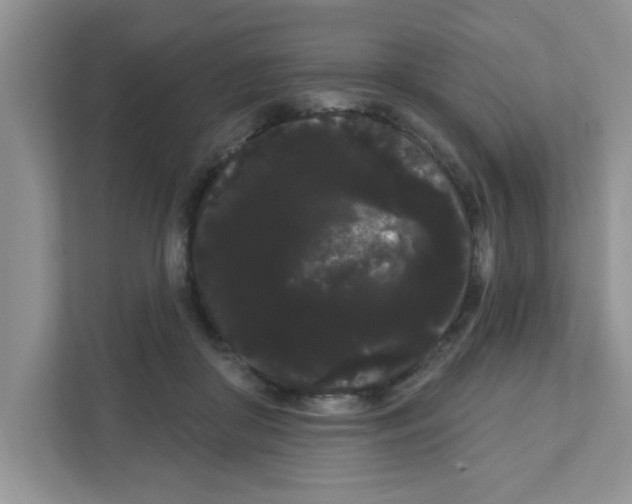 X0000111050410200907231600