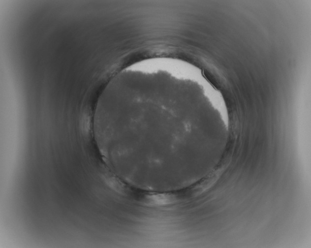 X0000111050417200907231600