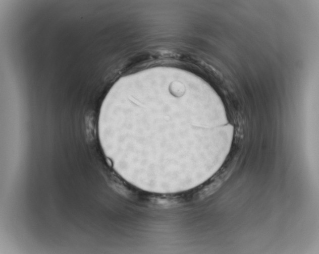 X0000111050420200907231600