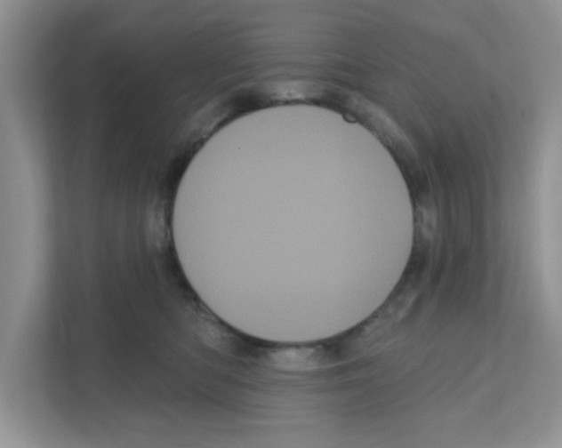 X0000111050422200907231600