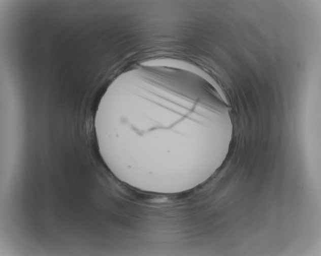 X0000111050425200907231600