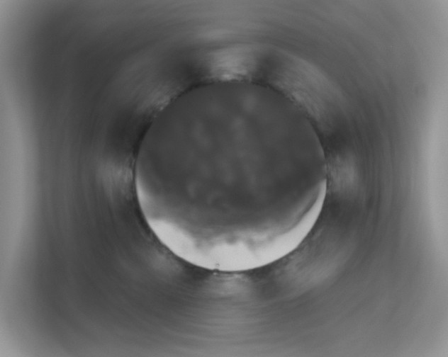 X0000111050427200907231559