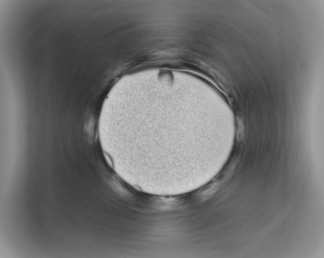 X0000111050428200907231559