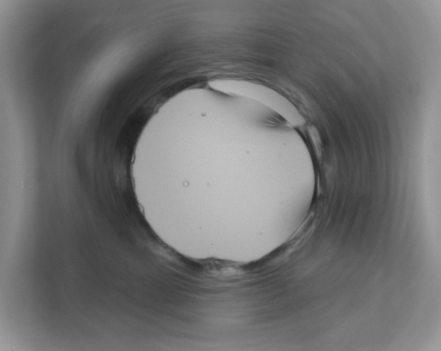 X0000111050429200907231559