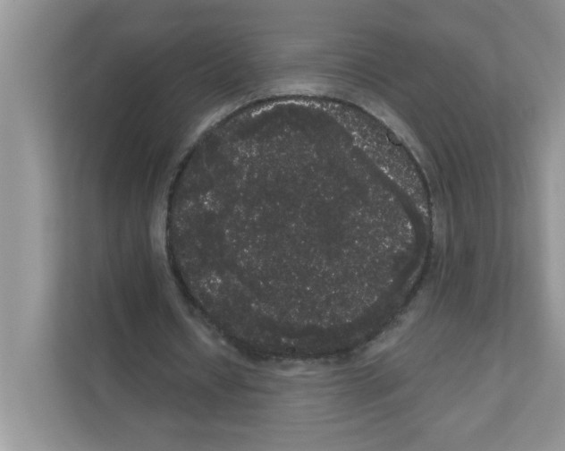 X0000111050434200907231559