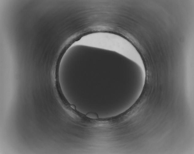 X0000111050438200907231559