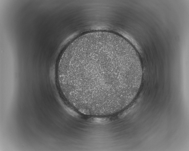 X0000111050442200907231559