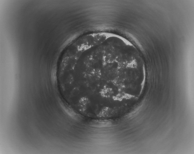 X0000111050443200907231559