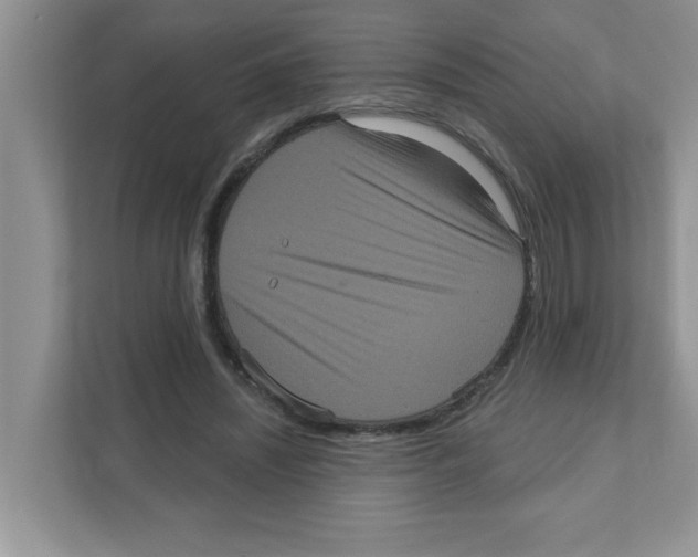 X0000111050444200907231559