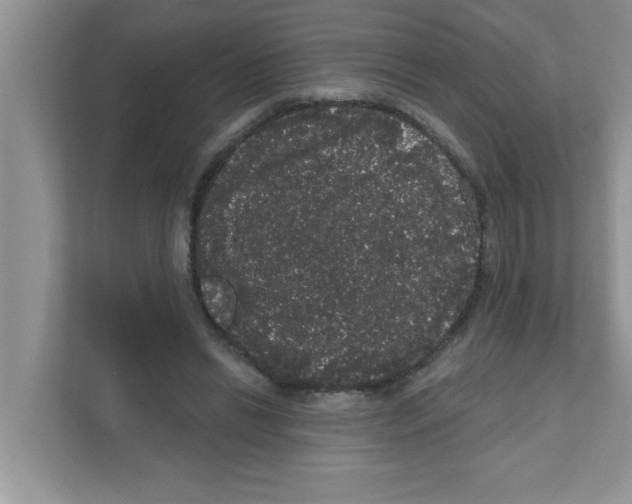 X0000111050446200907231559