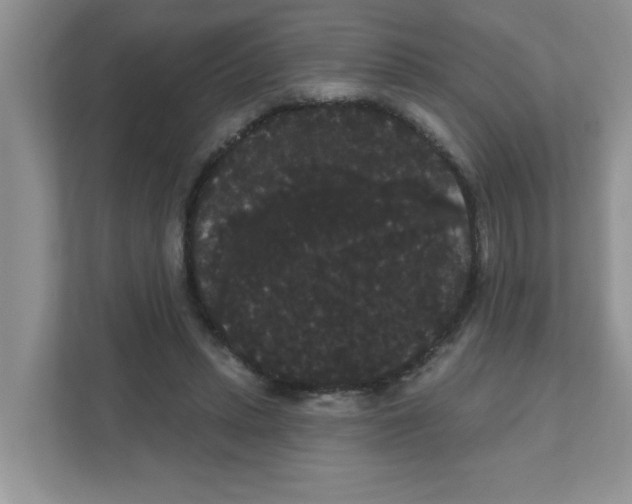 X0000111050447200907231559