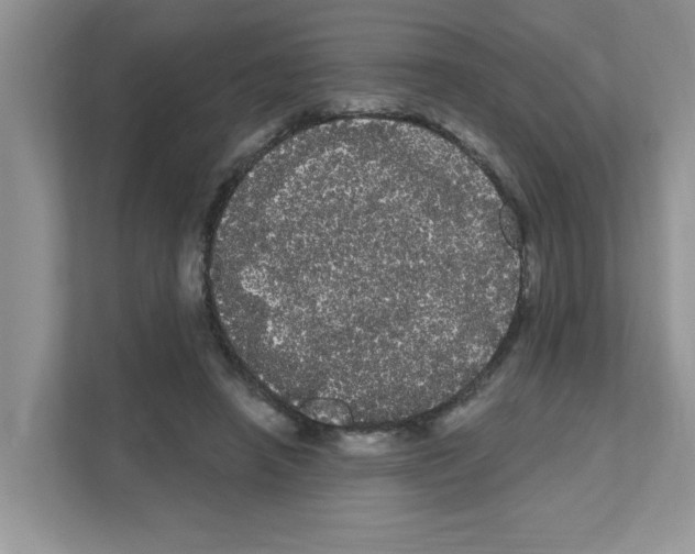 X0000111050450200907231559