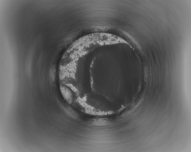 X0000111050451200907231559