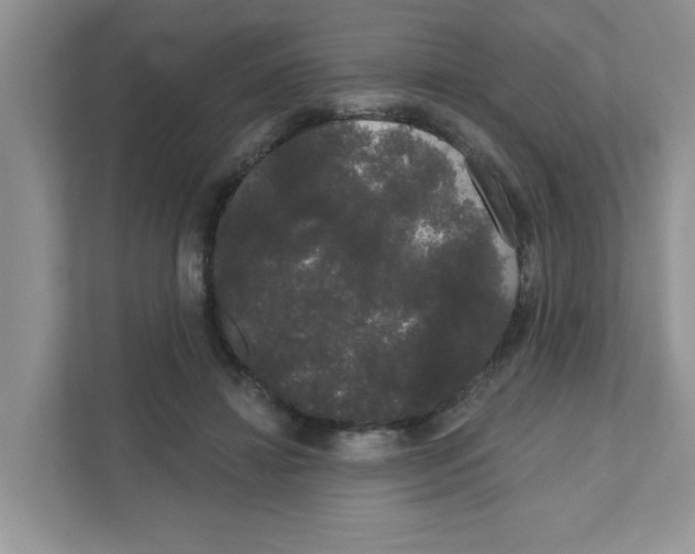 X0000111050452200907231559