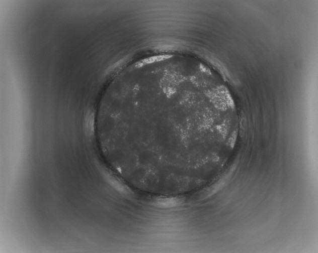 X0000111050454200907231559