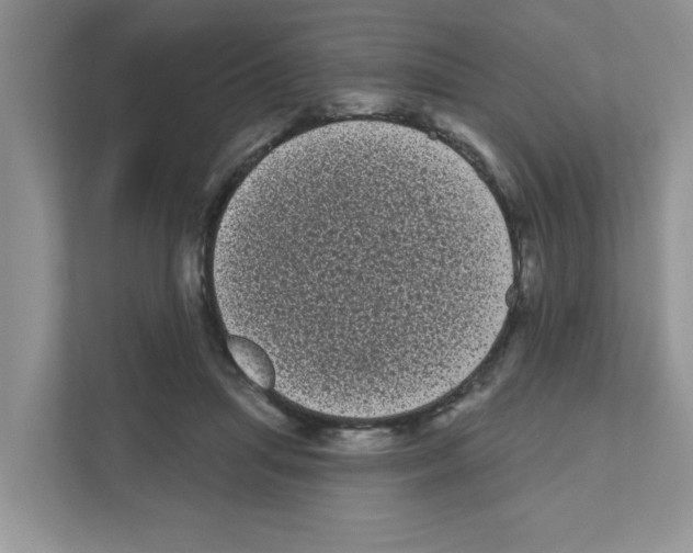 X0000111050455200907231559