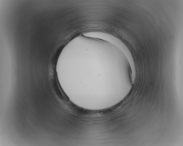 X0000111050456200907231559