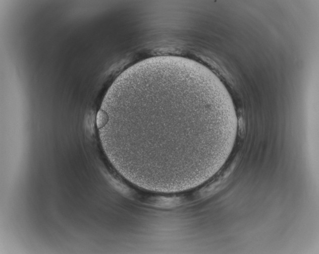 X0000111050458200907231559