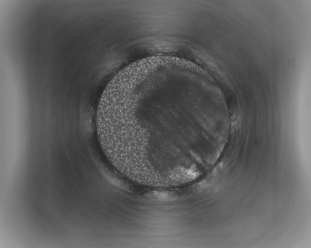 X0000111050464200907231559