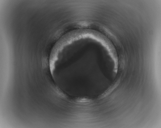 X0000111050467200907231559