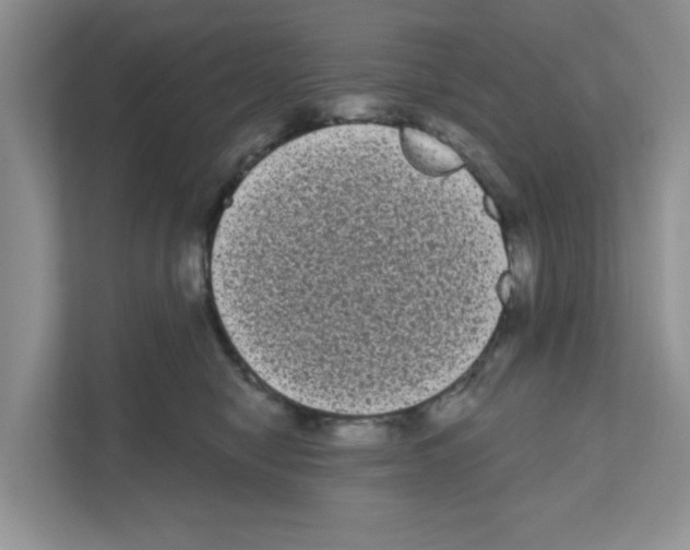 X0000111050470200907231559