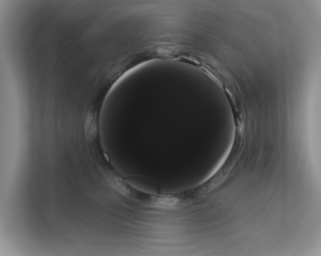 X0000111050471200907231559