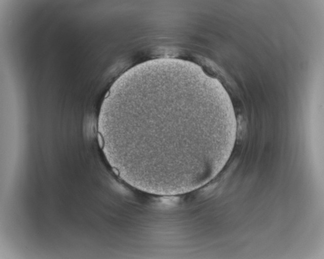 X0000111050474200907231559