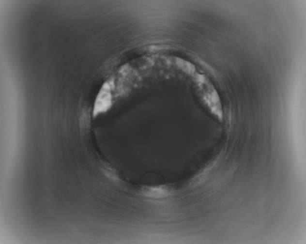 X0000111050475200907231559