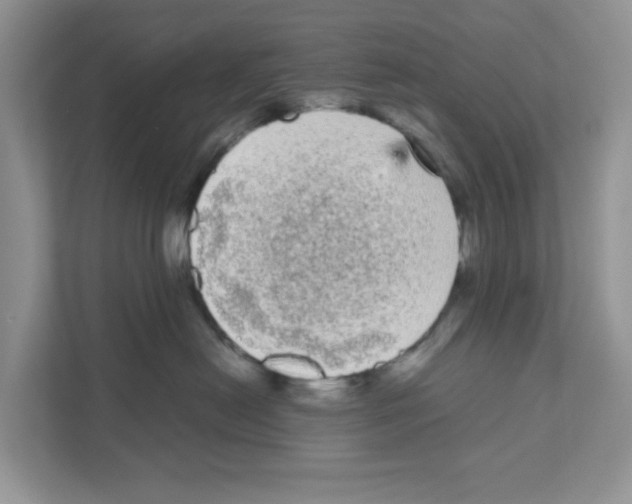 X0000111050478200907231559